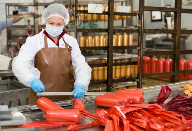 Woman hanging up sausages on rails Focused woman hanging up raw sausages on rails for later hot processing at meat plant baloney photos stock pictures, royalty-free photos & images