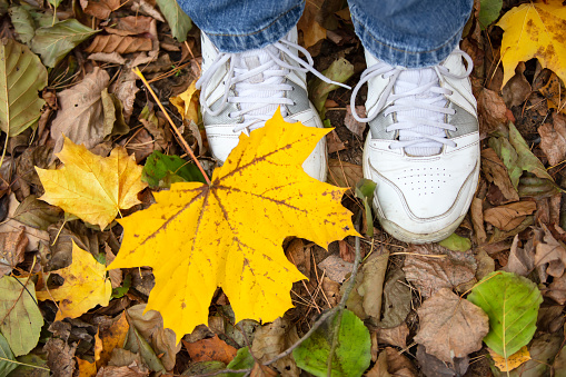 Autumn background. Sneakers on the autumn ground.Autumn season in hipster style shoes