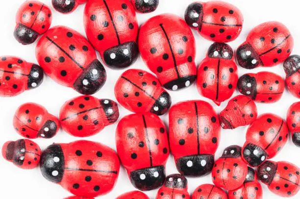 Photo of Red ladybug isolated on white background.Kids toy.