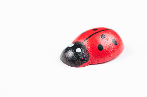istock Red ladybug isolated on white background.Kids toy. 1192827980
