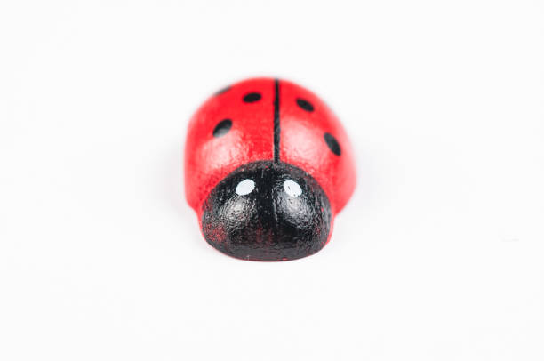 istock Red ladybug isolated on white background.Kids toy. 1192828201