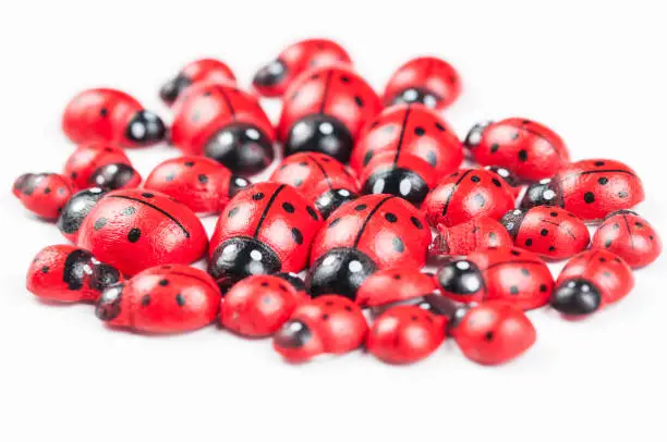 Photo of Red ladybug isolated on white background.Kids toy.