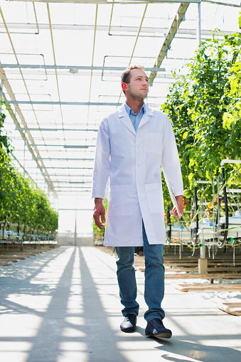 Retrato de científico de cultivos caminando en invernadero photo