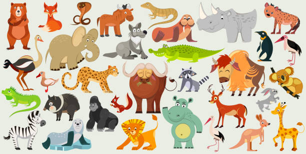 illustrazioni stock, clip art, cartoni animati e icone di tendenza di set di animali divertenti, uccelli e rettili provenienti da tutto il mondo. fauna mondiale. illustrazione vettoriale - koala herbivorous marsupial mammal