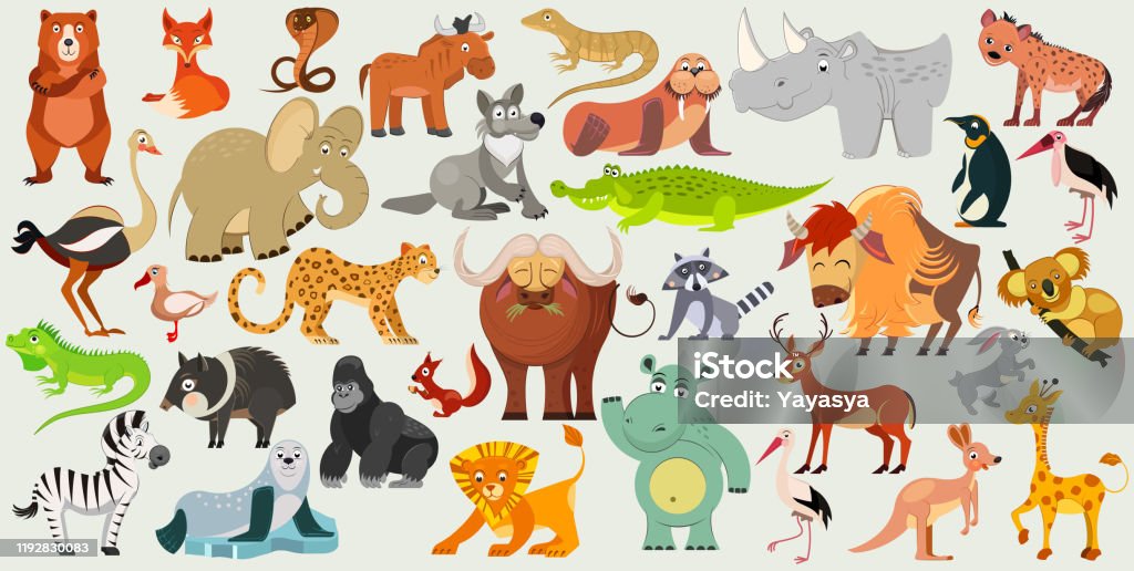 Set Of Funny Animals Birds And Reptiles From All Over The World World Fauna  Vector Illustration Stock Illustration - Download Image Now - iStock