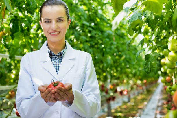 istock Crop scientist examining tomatoes while writing report in greenhouse 1192830865