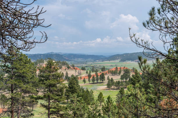 istock An overlooking landscape of Devils Tower National Monument, Wyoming 1192833029