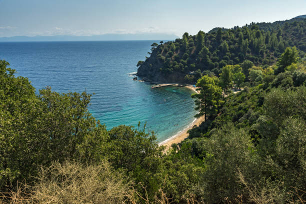 istock Zografou Beach at Sithonia peninsula, Greece 1192834076