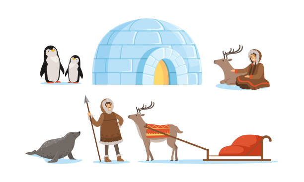 Wild North Arctic People and Animals Vector Illustrations Set Wild North Arctic People and Animals Vector Illustrations Set. Eskimo Characters Sitting with Deer and Living in Igloo igloo stock illustrations