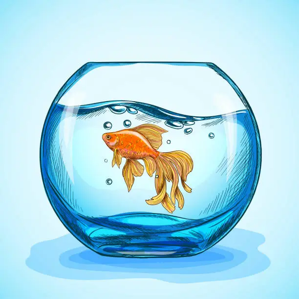 Vector illustration of Goldfish in a blue fishbowl, hand drawn sketch vector