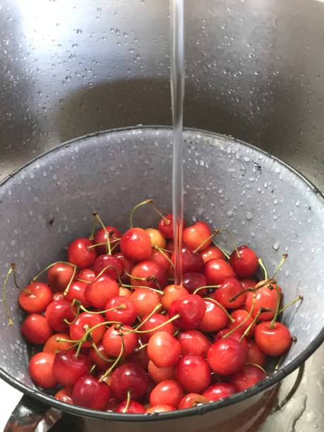 istock Washing fresh cherries in kitchen sink in metal strainer 1192838792