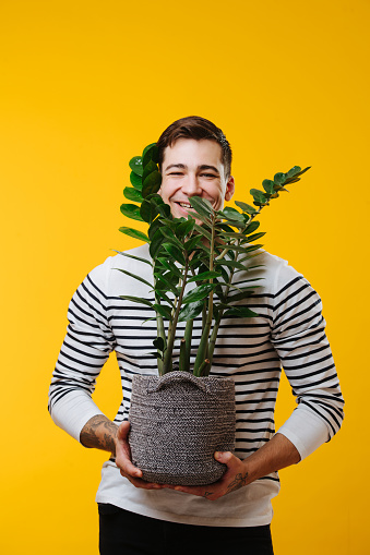 Cheerful tall young man in a striped shirt with potted plant in hands over yellow background. He has tattoos on his forearms and on the back of his hand. Leaves of a plant partially covering his face.