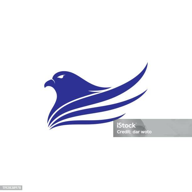 Falcon Templete Falcon Template Vector Stock Illustration - Download Image Now ...