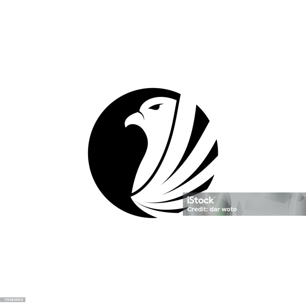 Falcon Templete Falcon Template Vector Stock Illustration - Download Image Now ...