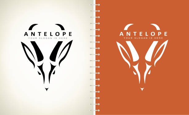 antelope vector. animal design. antelope vector. animal design. antelope stock illustrations