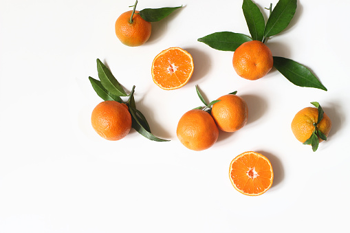 Tangerine garden in a sunny day with trees full of ripe tangerines