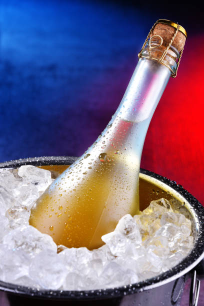 istock Bottle of sparkiling wine in bucket with crushed ice 1192844657