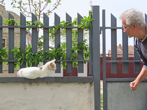 Older Man is Standing at the Entrance of the House and Playing with White Kitten Which is Lying on Fence with Leaves.