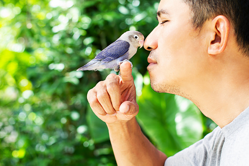 Man kissing lovebird sitting on finger on blurred green nature background