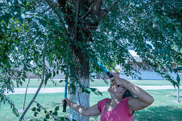 istock Senior Woman Working with Large Pruning Shears 1192847336