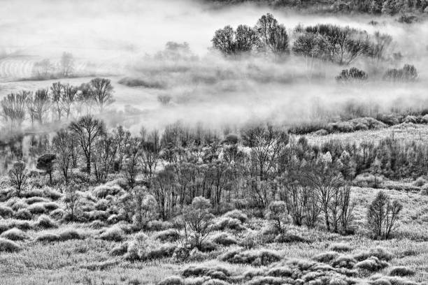 istock Misty morning over the winter forest 1192849500