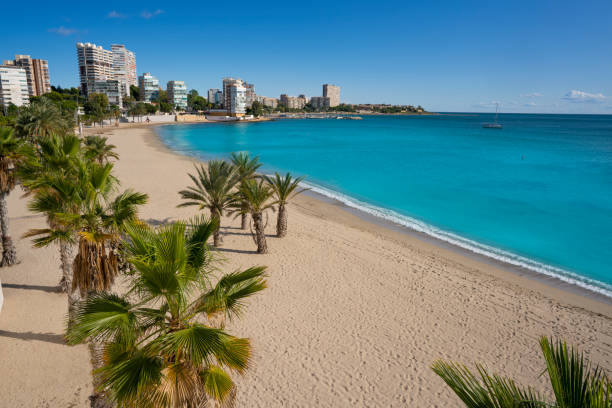 istock Playa Albufereta Beach in Alicante Spain 1192850459