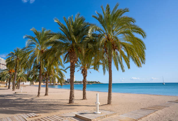 istock Playa Albufereta Beach in Alicante Spain 1192850485