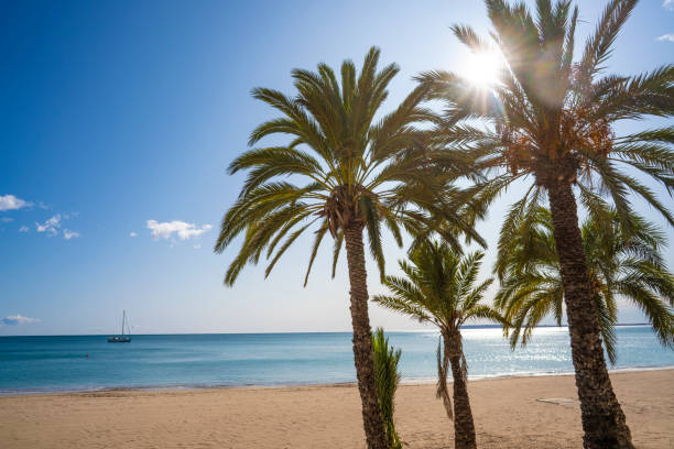 istock Playa Albufereta Beach in Alicante Spain 1192850635