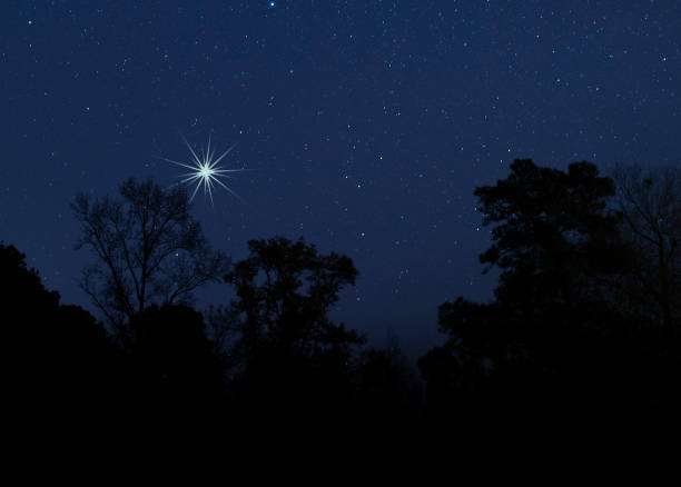 istock Christmas star low over the trees 1192851909