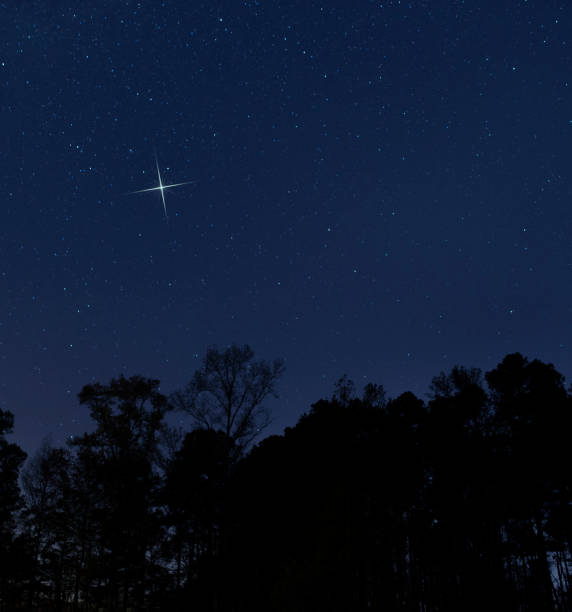 istock Bright Christmas star rising above the trees at night 1192852374