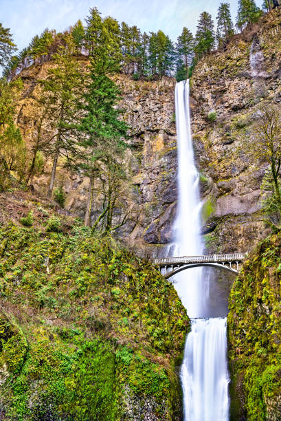 istock Multnomah Falls in the Columbia River Gorge, USA 1192854573