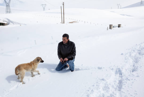 Adult man sitting on snow and playing with his dog. The background is rural fields with snow. Shot with a full frame DSLR camera.