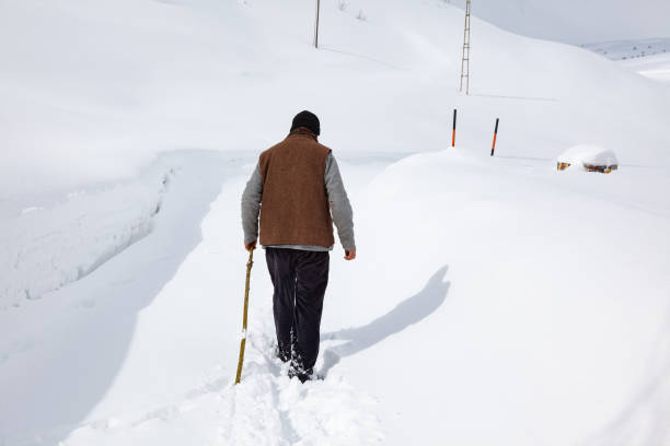 istock Senior Man Walking On Snow In Countryside 1192857311