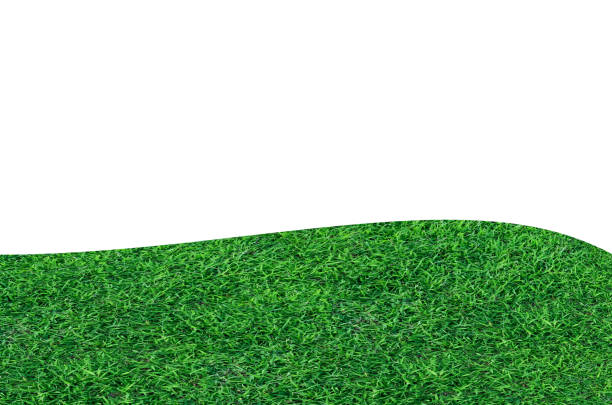 istock Green grass field isolated on white background with clipping path. 1192859966
