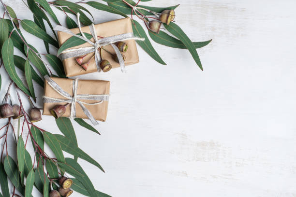 istock Australian themed Gifts, Gumnuts and Eucalyptus leaves. 1192861404