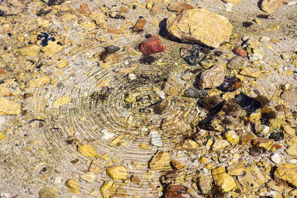 istock Flowing Water In Nature 1192861555