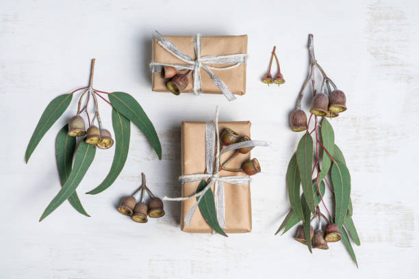 istock A beautiful Australia themed gift composition with eucalyptus leaves and gum nuts. 1192861563