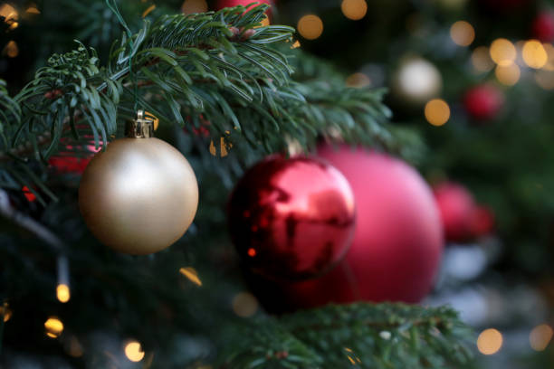 istock Christmas decorations on a fir branches on festive lights background, night illumination 1192861653