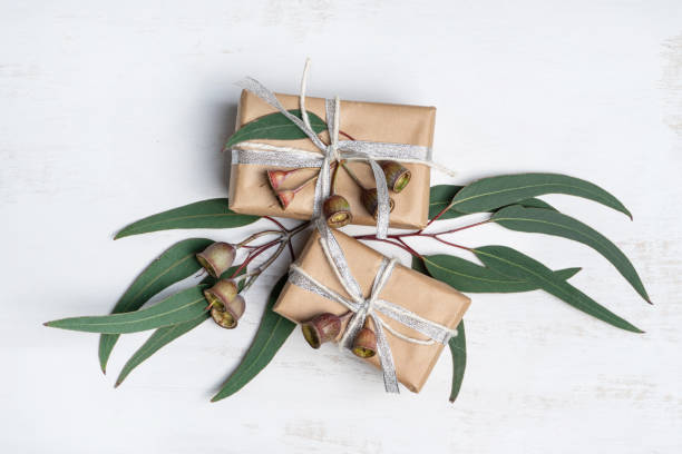 istock Australian native Eucalyptus leaves and gum nuts frame some rustic gifts. 1192862321
