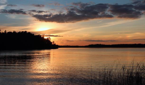 istock glowing evening sun behind the forest on a fjord 1192864173