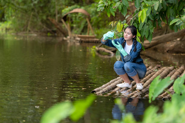istock Asian student biology taking and testing sample of natural river water. Experts science women keep water for research analysis in the laboratory. Environmental pollution Concept 1192864182