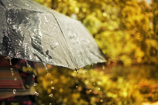 Splashes of rain flowing down a black umbrella on a blurred autumn background.