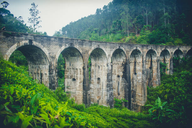 istock Nine Arch Bridge in Ella Sri Lanka 1192867905