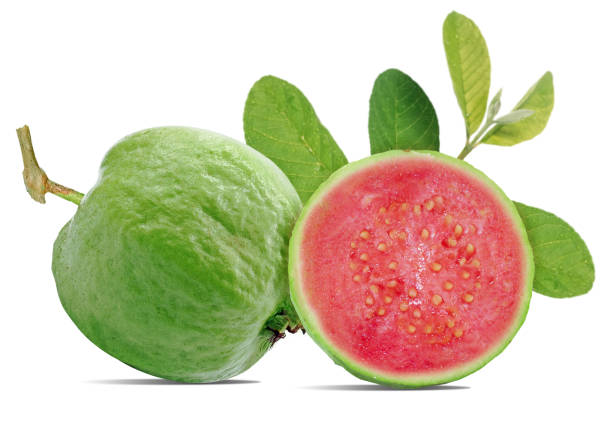 흰색 배경에 고립 된 신선한 구아바 과일 - guava vegetable tropical climate fruit 뉴스 사진 이미지