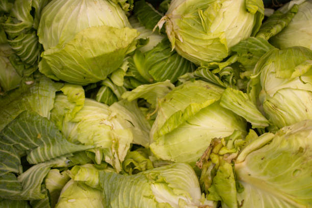 istock Group of Cabbage inside the market 1192869454