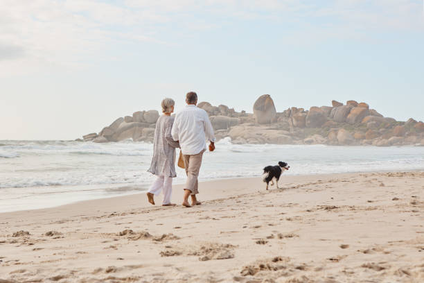 istock They all love the beach 1192870667