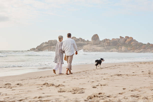 They all love the beach Rearview shot of an affectionate middle aged couple walking hand in hand with along the beach with their dog dog disruptagingcollection stock pictures, royalty-free photos & images