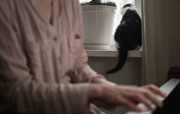 mujer tocando piano clásico. mascota de gato en segundo plano. - pampered pets audio fotografías e imágenes de stock