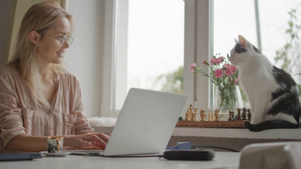 istock Morning coffee, laptop and cat. 1192871005