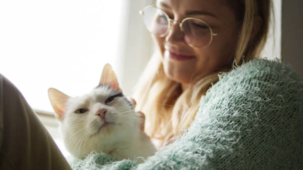 istock Woman strokes cute sleeping cat at windowsill 1192871035